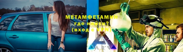 ГАЛЛЮЦИНОГЕННЫЕ ГРИБЫ Заволжье